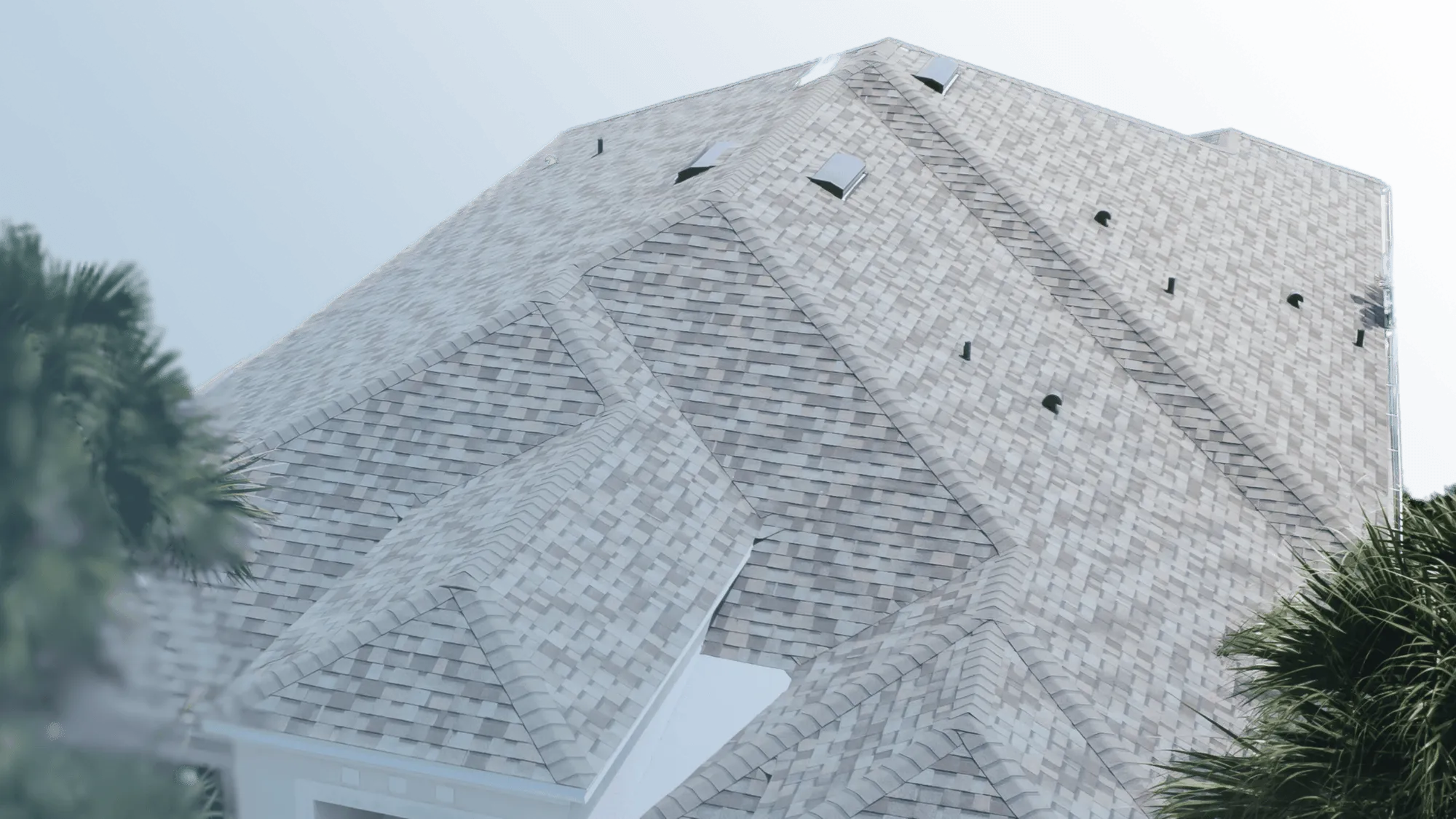 New architectural shingle roof installed by Cox Roofing, framed by palm trees